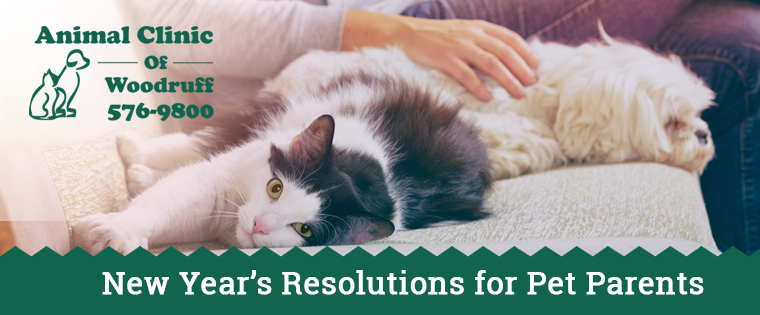 A Pet Owner’s New Year’s Resolutions
