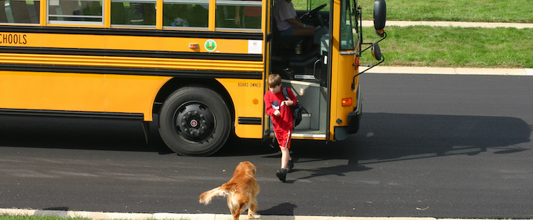 How to Keep the Dog Happy When Kids Go Back to School