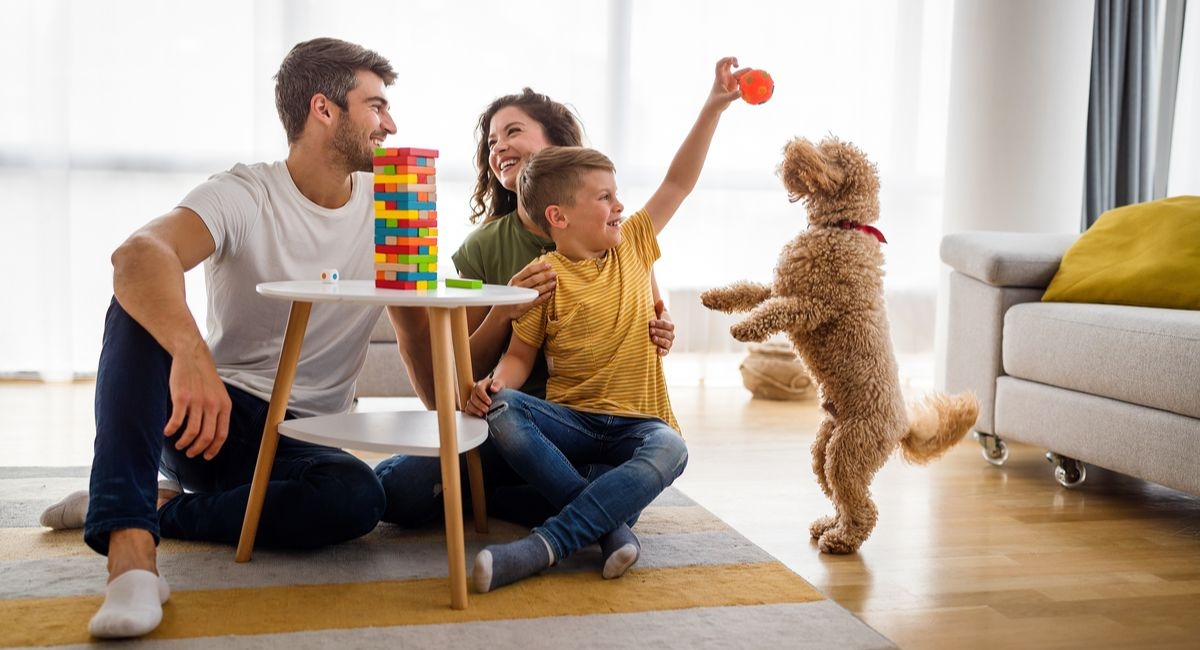 Indoor Games to Play with your Dog