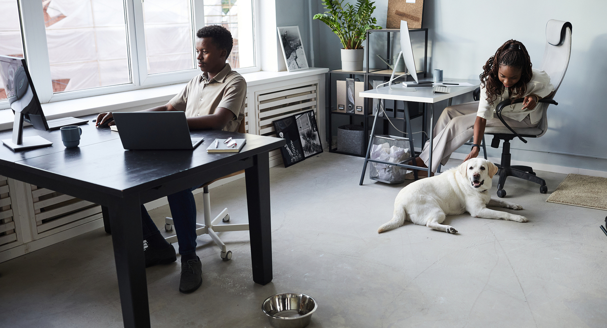 The Surprising Benefits of Taking Your Dog to Work