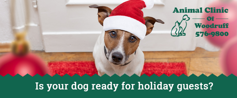  Pets and Holiday Guests: 5 tips for better time together