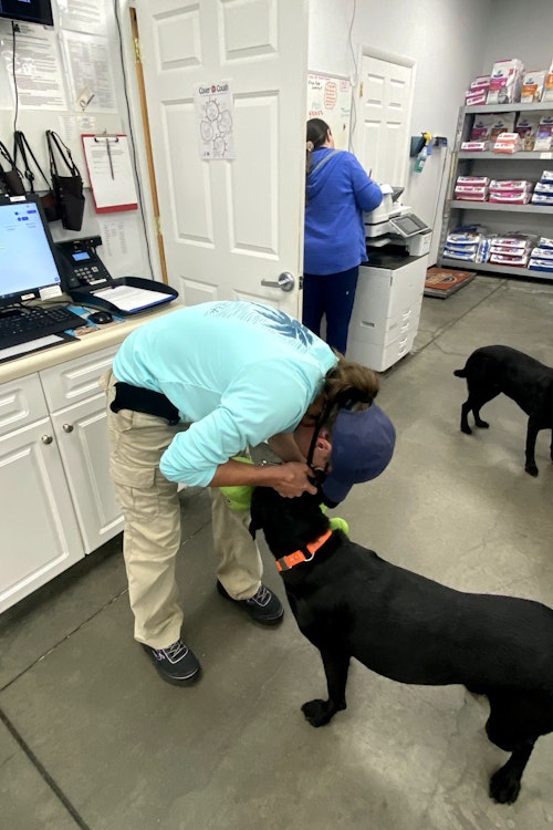 After a quick examination from Dr. Merri, we learned that Sturgill has an ear infection. Our poor office pup is being treated with medicine and cuddles and is expected to make a quick recovery.
Get well soon, Sturgill!