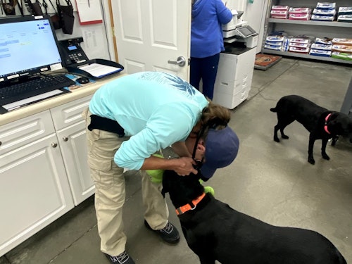 After a quick examination from Dr. Merri, we learned that Sturgill has an ear infection. Our poor office pup is being treated with medicine and cuddles and is expected to make a quick recovery.
Get well soon, Sturgill!