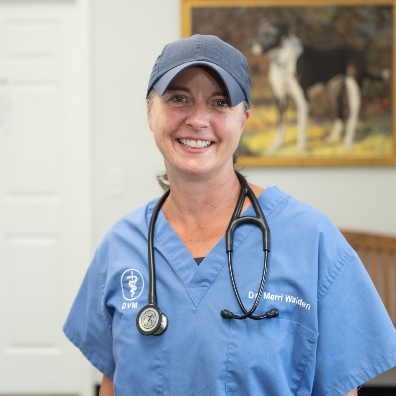 Merri Walden Crenshaw, D.V.M.