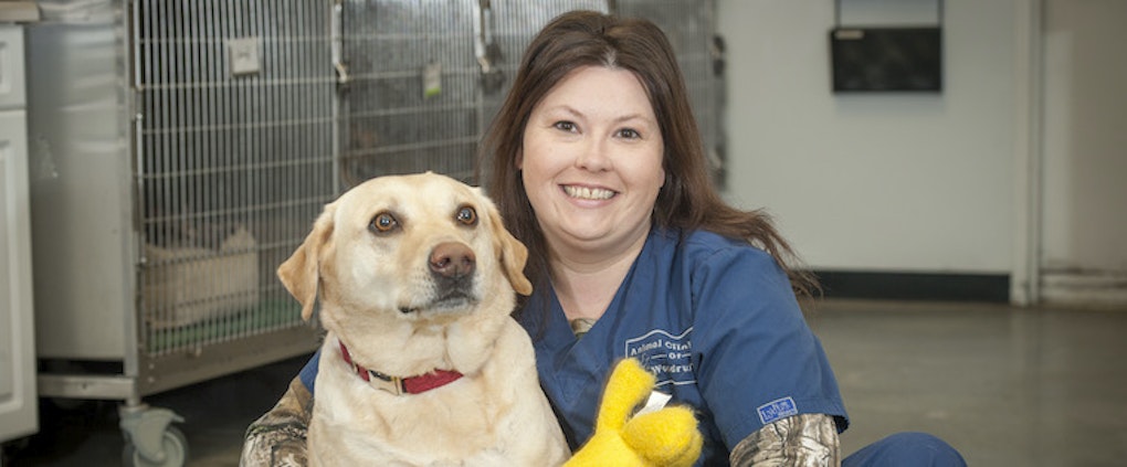 Shining a Light on our Employees: Karen Schuur | Animal Clinic of ...