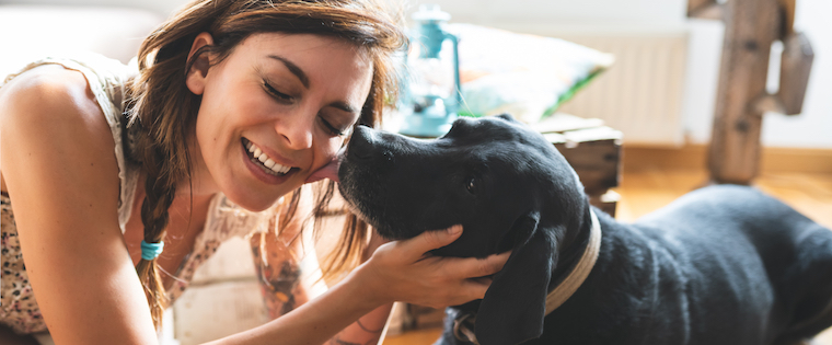 5 Reasons Why We’re Thankful for Pets